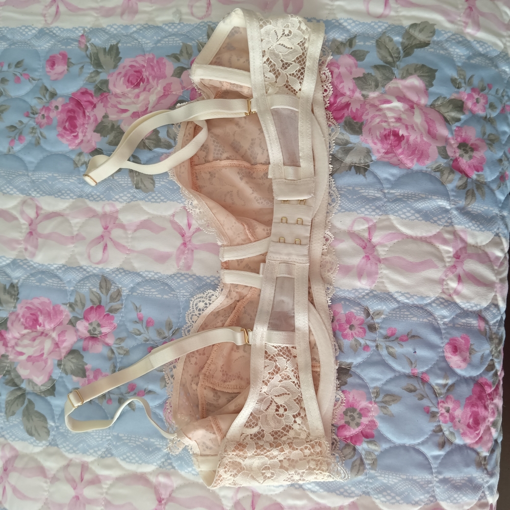 Free People Blush Lace Balconette Bra - Picture 2 of 4